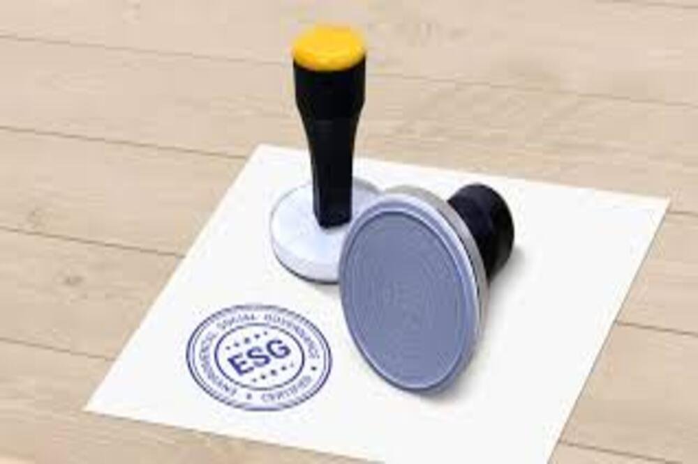 Manufacturer, Exporter, Importer, Supplier, Wholesaler, Retailer, Trader of Basic Rubber Stamps in Amritsar, Punjab, India.